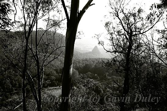 Egg_Rock_from_Binna_Burra,_Numinbah_Valley,_QLD.jpg